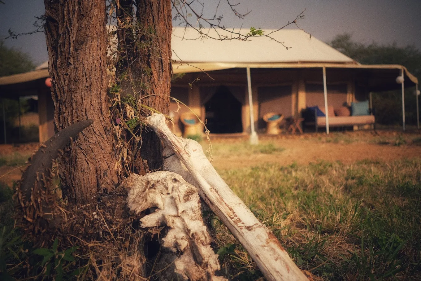 Whisper-Serengeti-Camp-view