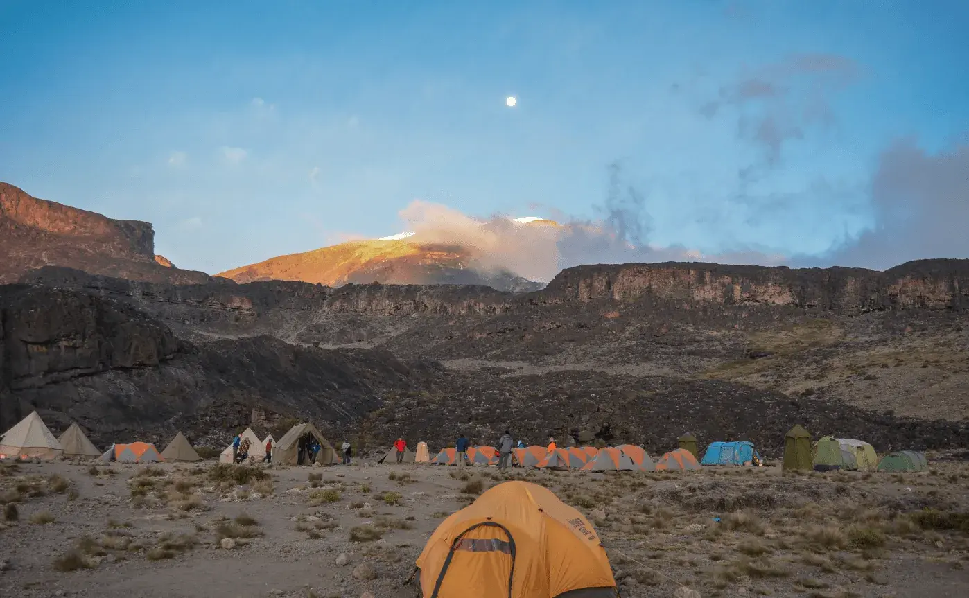 buffalo-pofu-camp
