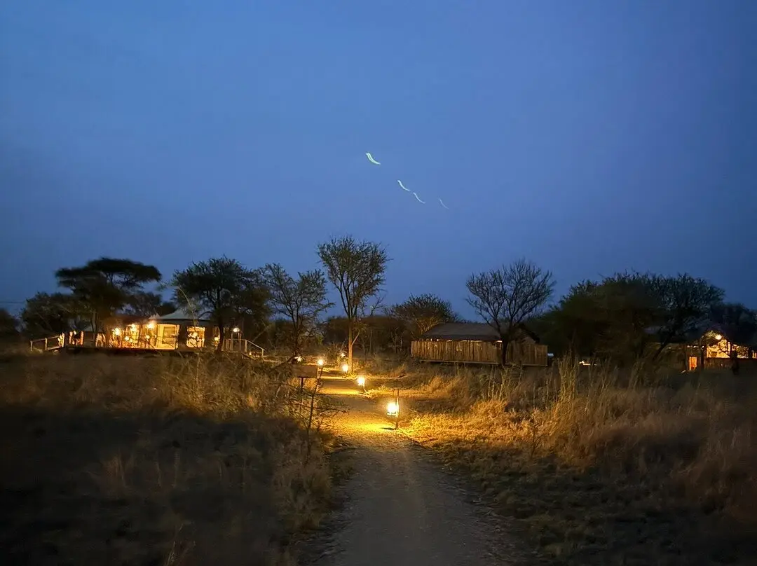 night-view-of-Conserve-Safari-Serengeti