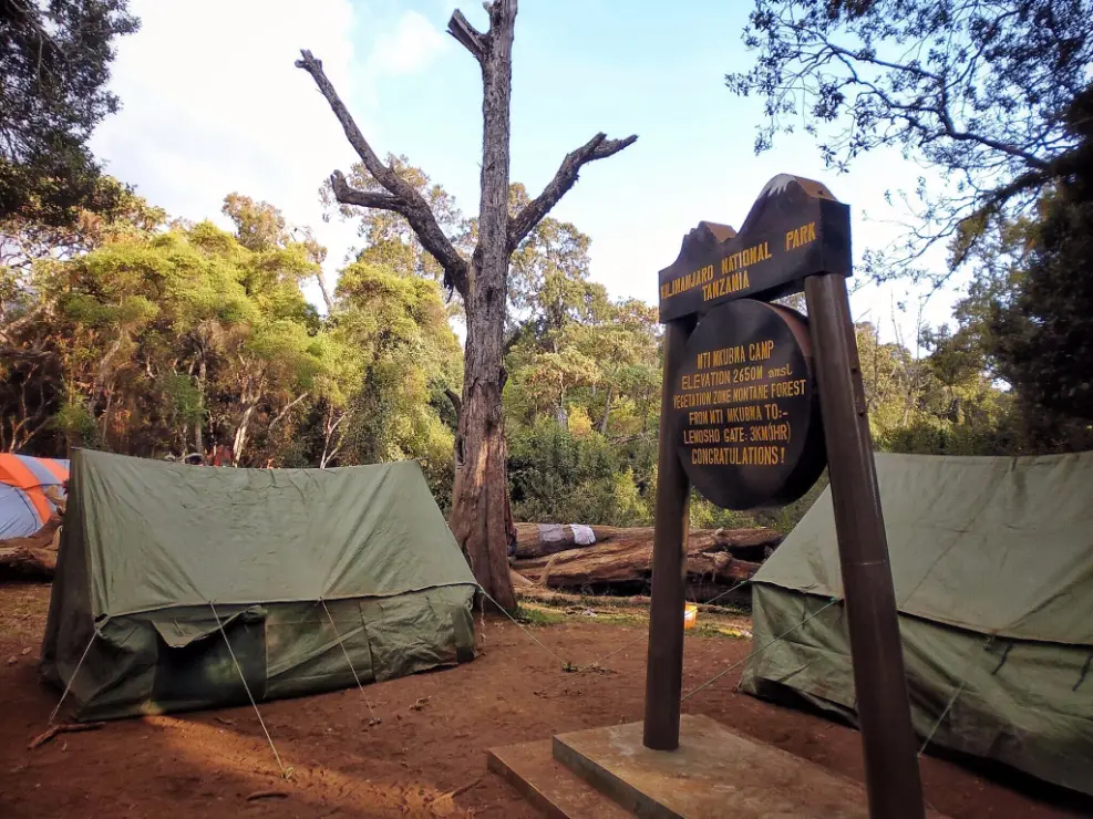 tents_at_mti_mkubwa