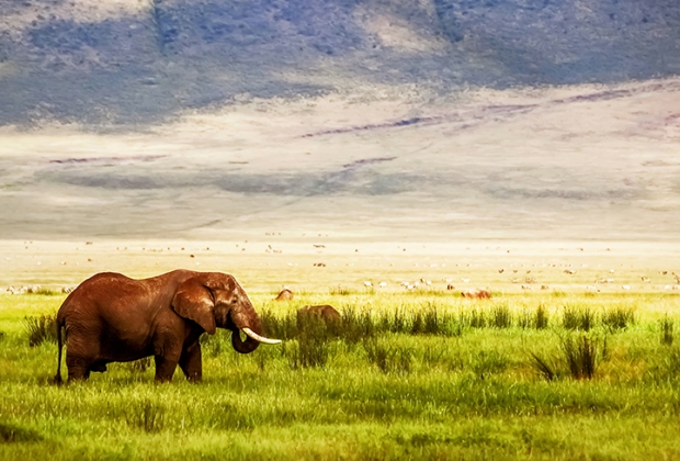 Ngorongoro-Crater