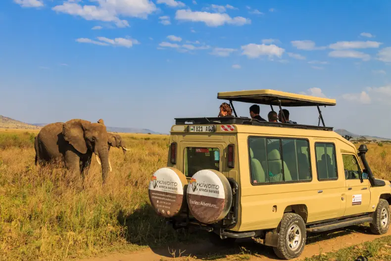kiwoito-private-safari