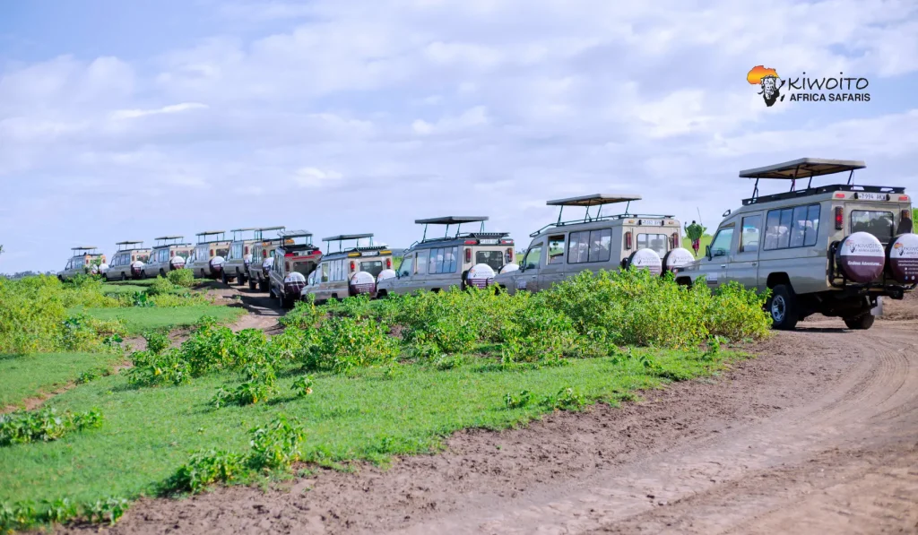 Kiwoito Africa Safari Jeep Convoy