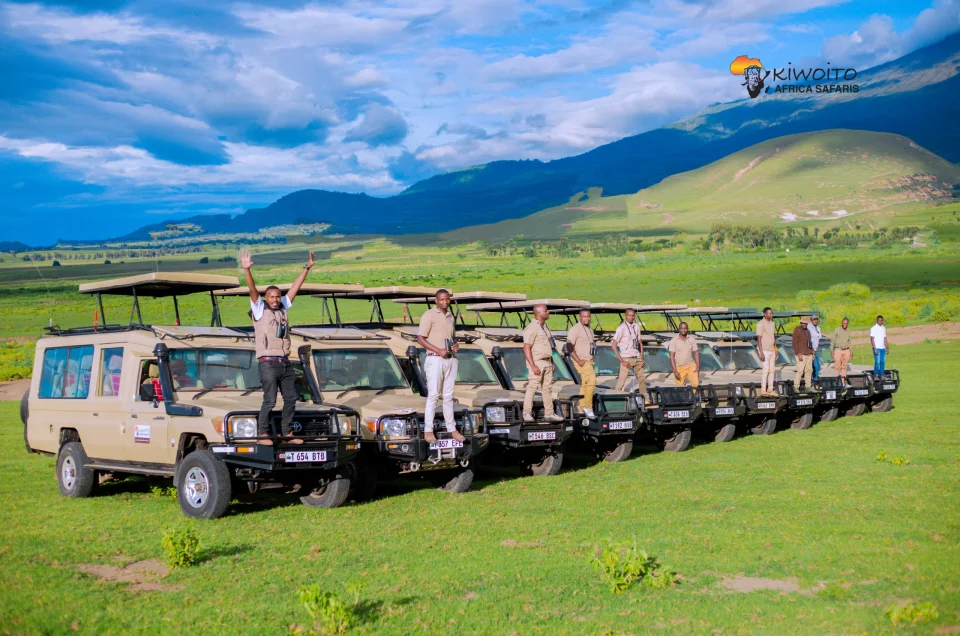 Kiwoito Frica Safaris Jeeps convoy