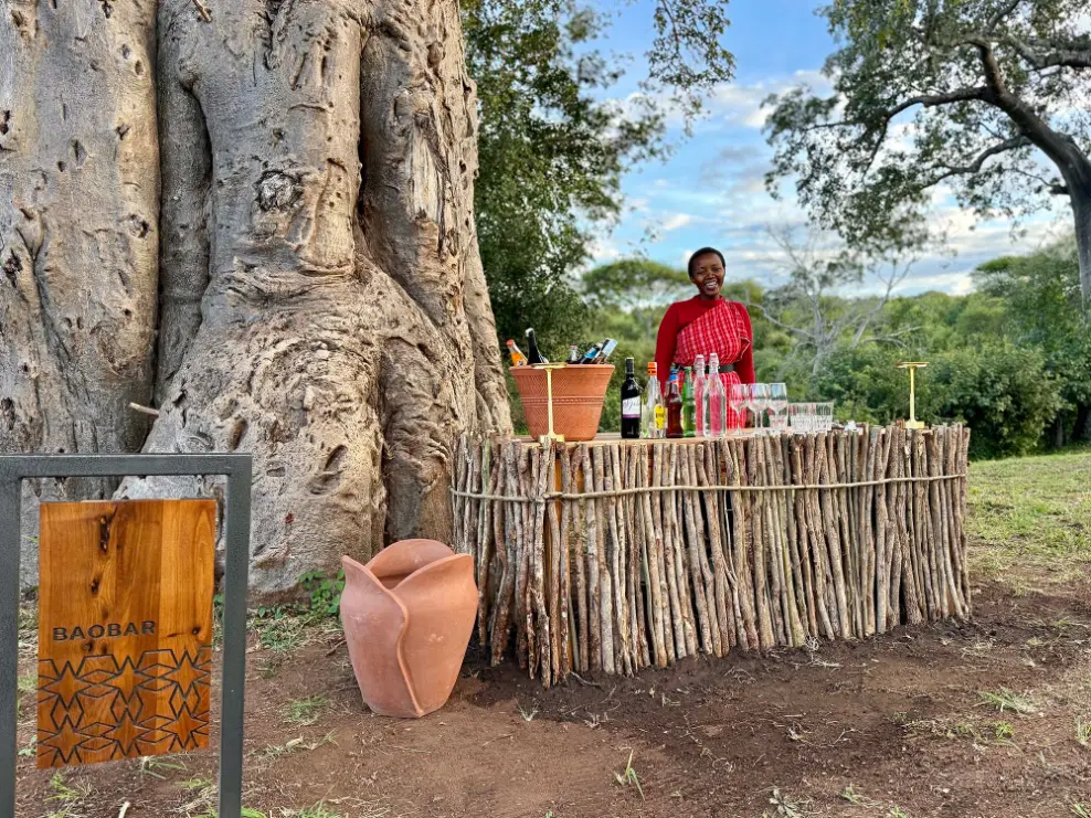 The Whisper Tarangire bar