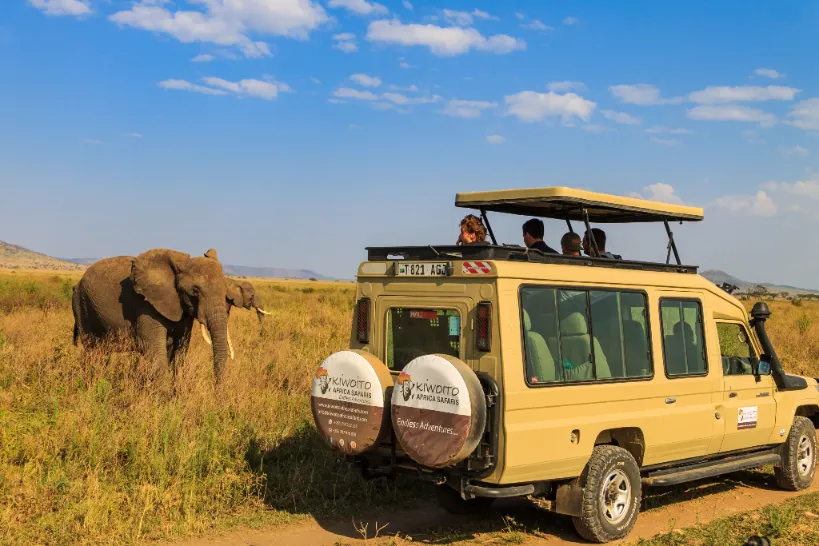 kiwoito-africa-safaris
