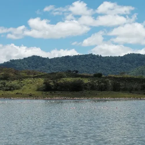 Arusha National Park Flamingos at Momella Lake