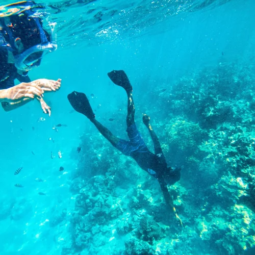 Bawe Island Snorkeling experience