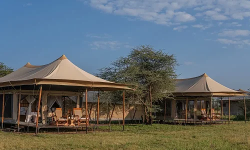 Conserve-Safari-Serengeti two-bedroom-family-suite