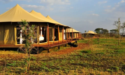 Glimpse-Of-Africa-Safari-Camp-sunset-view