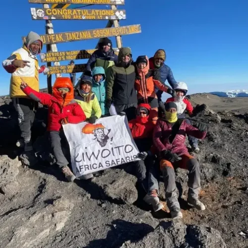 Hikers celebrate at Uhuru Peak on Mount Kilimanjaro.