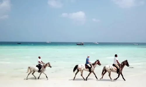 Horse riding experience in zanzibar beaches