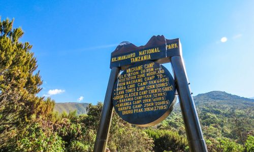 Machame camp