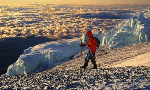 Kilimanjaro Trekker at Uhuru peak