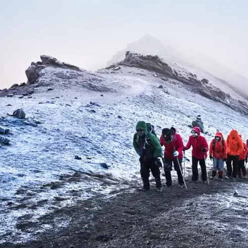 Kilimanjaro-trekking-with-Portuguese-speaking-guide-1.webp