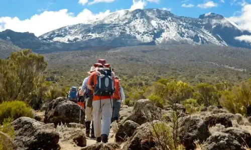 Machame camp - kilimanjaro climbiing