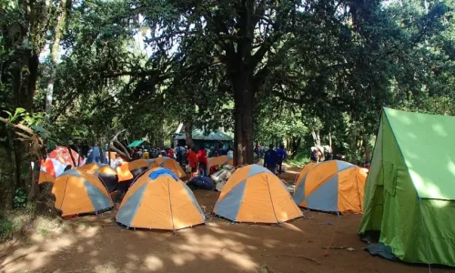 Mti-Mkubwa-Camps