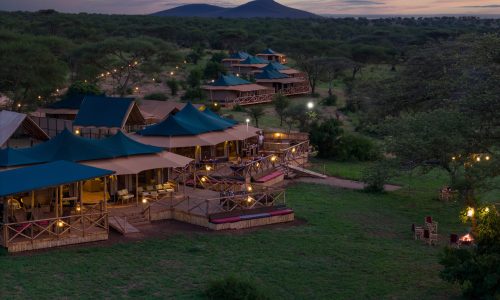 Nyota luxury camp - Serengeti