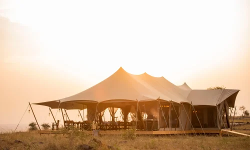 Serengeti Luxury Retreat
