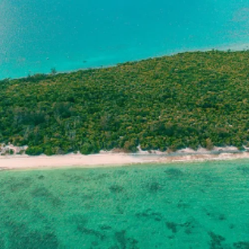 Snorkeling at Bawe Island, Zanzibar