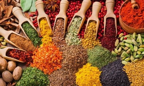 Spice Farm Zanzibar