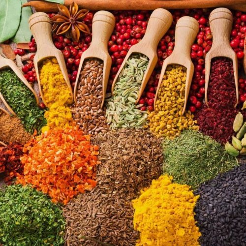 Spice Farm Zanzibar