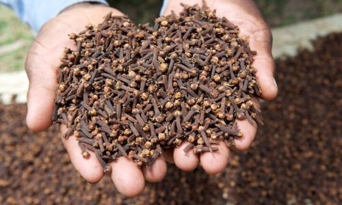 Spice_Farm Zanzibar