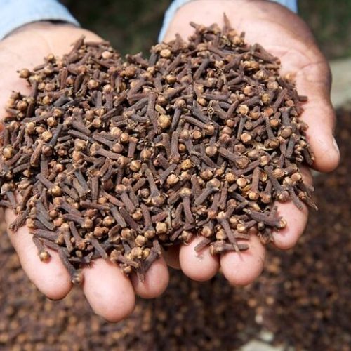 Spice_Farm Zanzibar