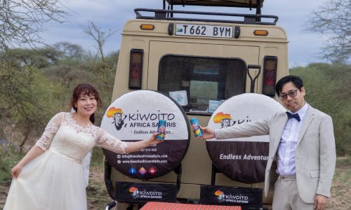 Tanzania-honeymoon-safari-in-serengeti-national-park