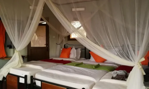 Tarangire-Osupuko-triple-room