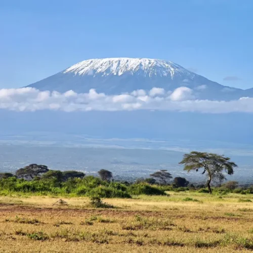 Trekking-du-Kilimandjaro