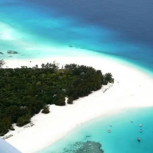 Tropical Landscape of Kendwa Beach