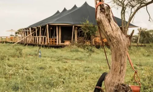Tukaone-Serengeti-Camp-tents
