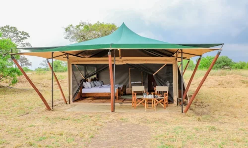 Untamed Ndutu Migration Camp