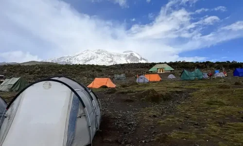 View_of_tents_at_buffalo_camp