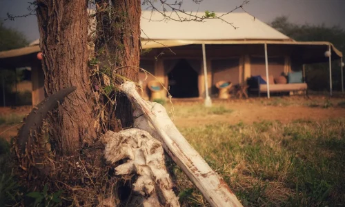 Whisper-Serengeti-Camp-view