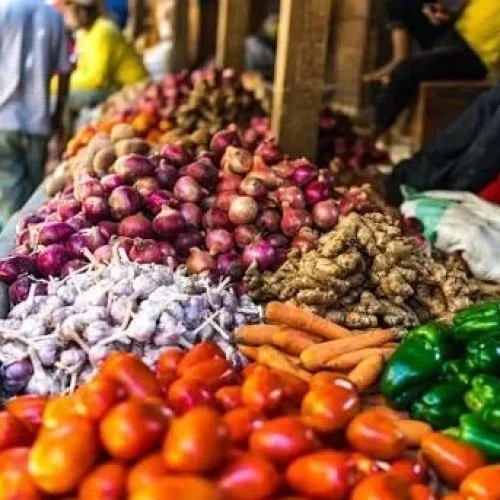 Zanzibar Local Market Visit