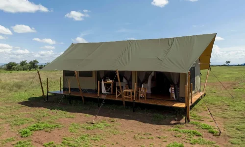 Zuri Camps