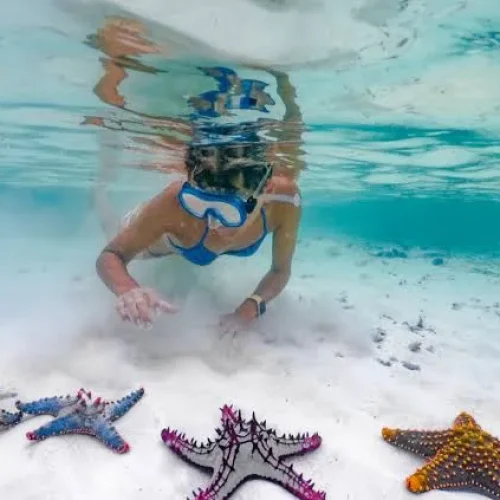 blue lagoon adventure in Zanzibar