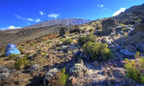 buffalo-campsite-kilimanjaro