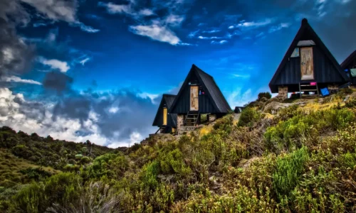 campsite-mandara-huts-kilimanjaro