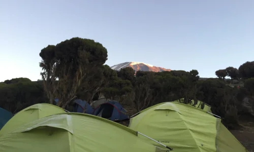 campsite-millenium-tented-camp