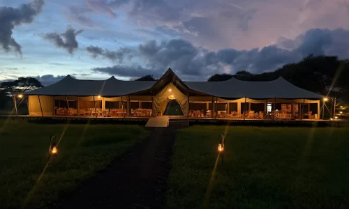 conserve safari tarangire