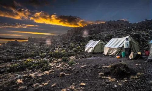 cooking-and-mess-tents-buffalo-camp
