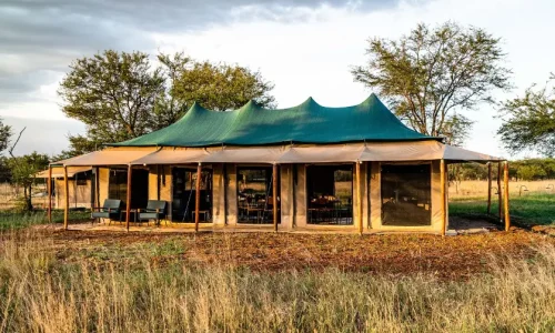 harmony-safari-camps-restaurant