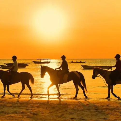horse riding experience with kiwoito africa safaris