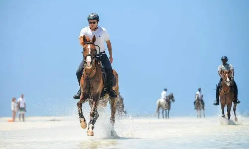 horseback riding on the beach in Zanzibar