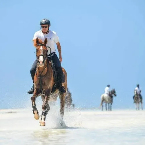horseback riding on the beach in Zanzibar