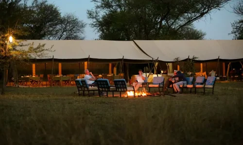 intimate-camps-zebra-outdoor-fireplace