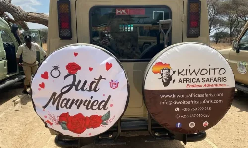 just-married-kiwoito-vehicle